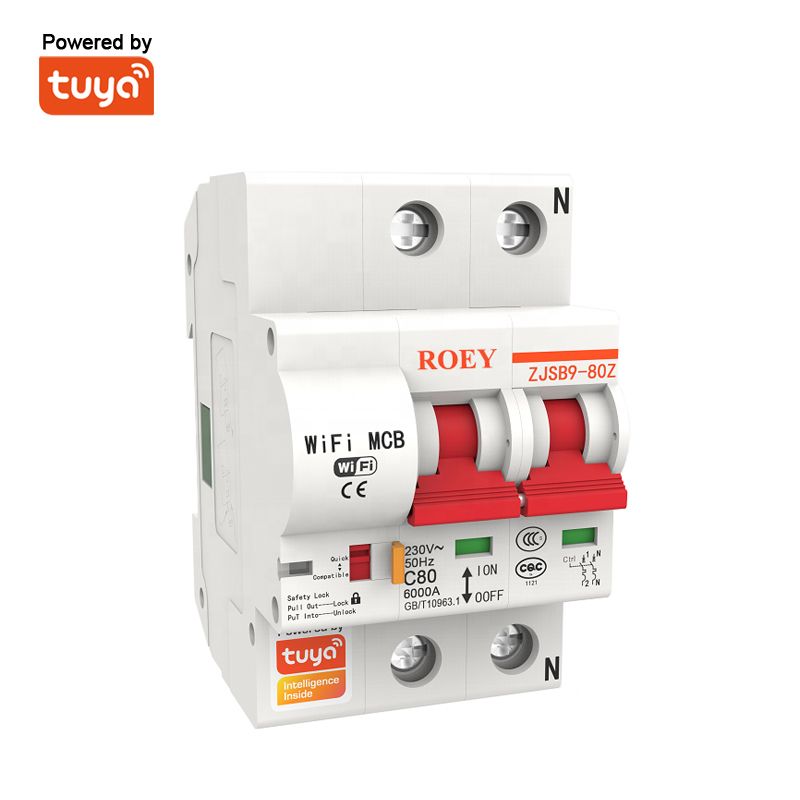 Interruptor Automático Inteligente 125A Tuya con Control Remoto, Protección Contra Sobrecarga y Cortocircuitos, Interruptor de Circuito WIFI 2P